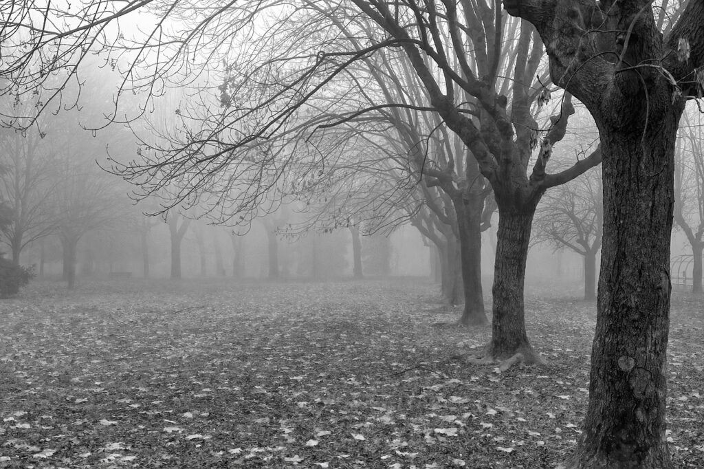 冬に孤独感を感じたときに頼りたいメンタルコーチの指名方法は？