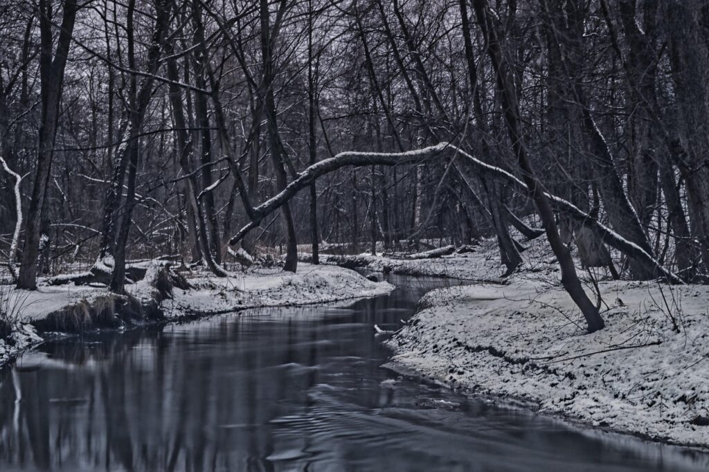 冬の孤独感を和らげる冬向き音楽療法とは？