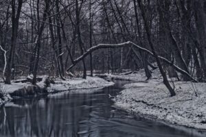 冬の孤独感を和らげる冬向き音楽療法とは？