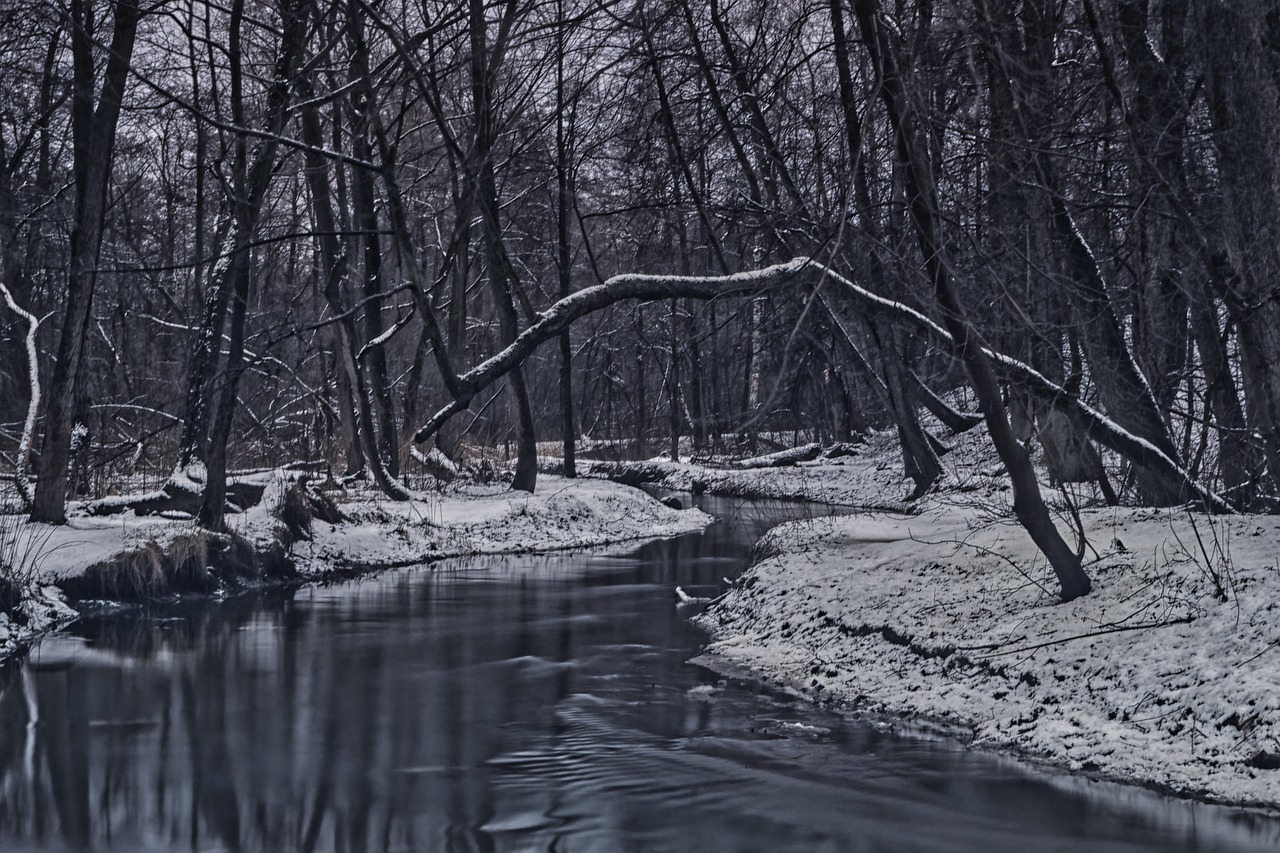 冬の孤独感を和らげる冬向き音楽療法とは？