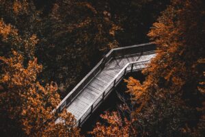 冬の孤独感を和らげるマインドフルネス教室とは？