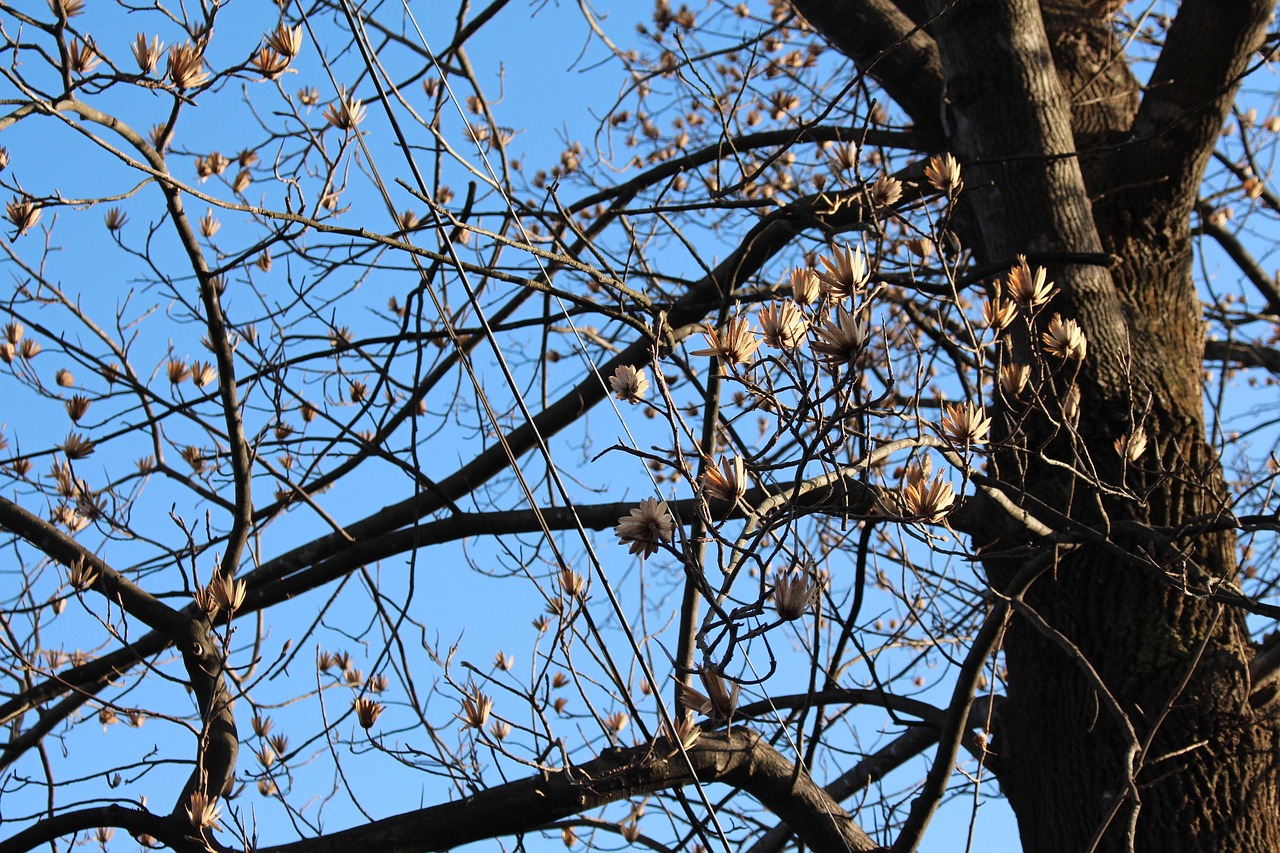 冬の独りの寂しさを克服するためのメンタルケア方法は？