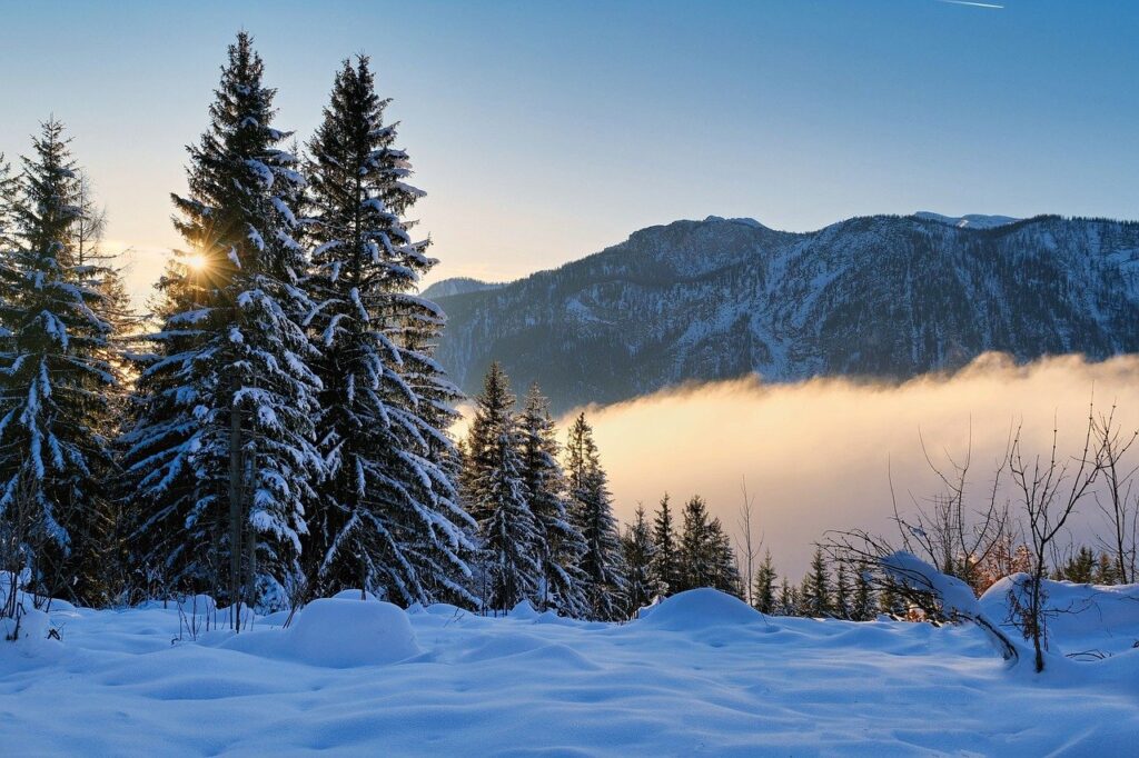 冬の寂しい朝はどうするべき？