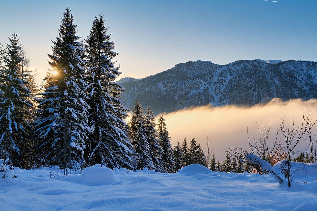 冬の寂しい朝はどうするべき？