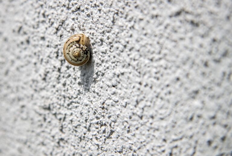 冬に一人で映画館の予約をする際のポイントは？