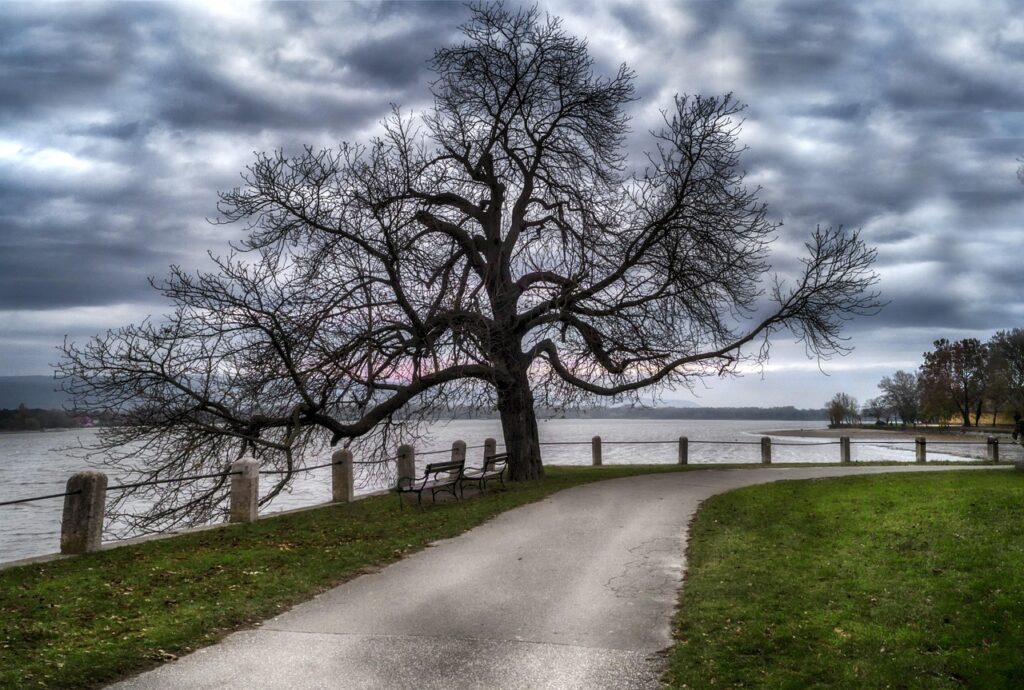 冬に一人で相談できる場所はどこ？