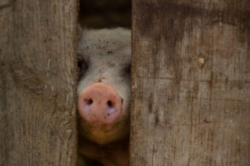 冬の年末年始を一人で過ごすおすすめの方法は？