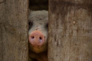 冬の年末年始を一人で過ごすおすすめの方法は？