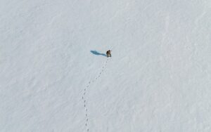 独りが怖いけど、相談したい時はどうすればいい？