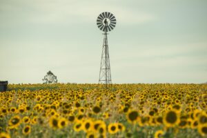 誰からも連絡がこない寂しい気持ちを解消する方法は？